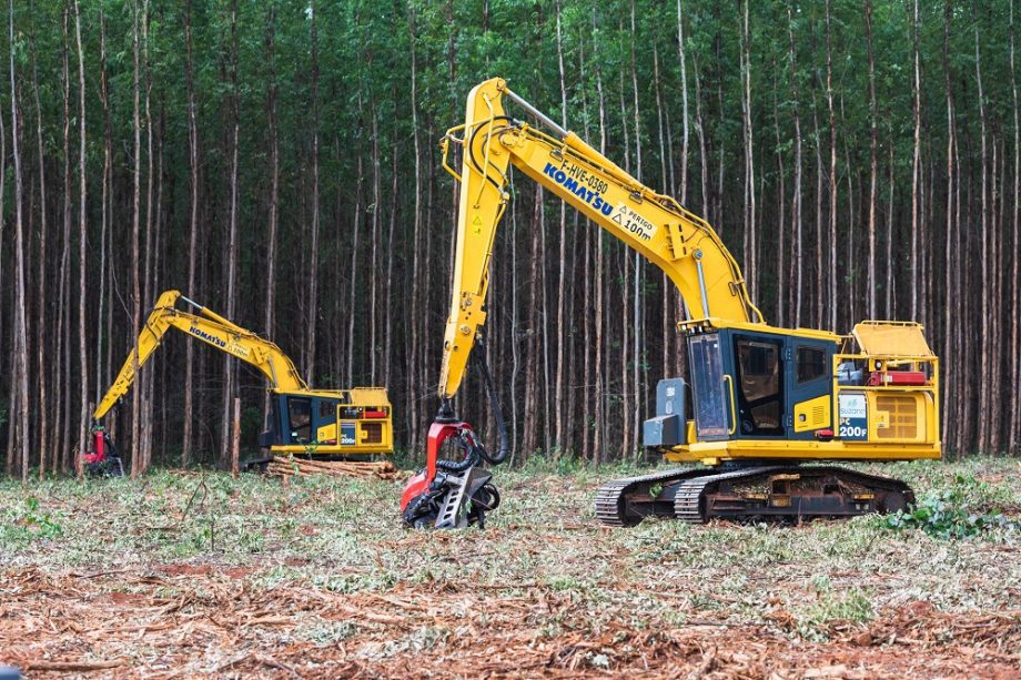 Casa do Trabalhador e FATEC SENAI abrem vagas em cursos para o setor florestal – Prefeitura Três Lagoas