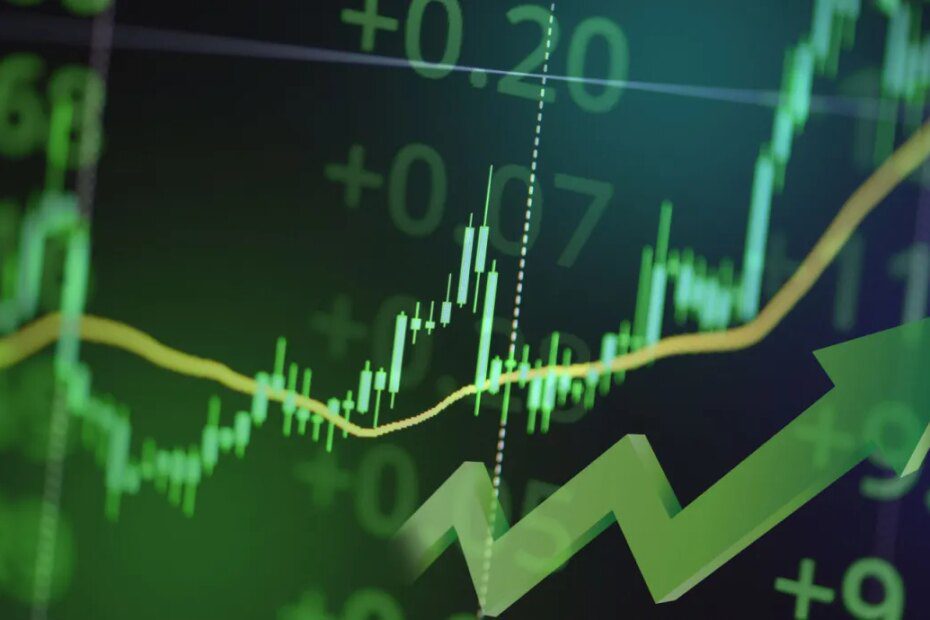 Rodrigo Tolotti avatar