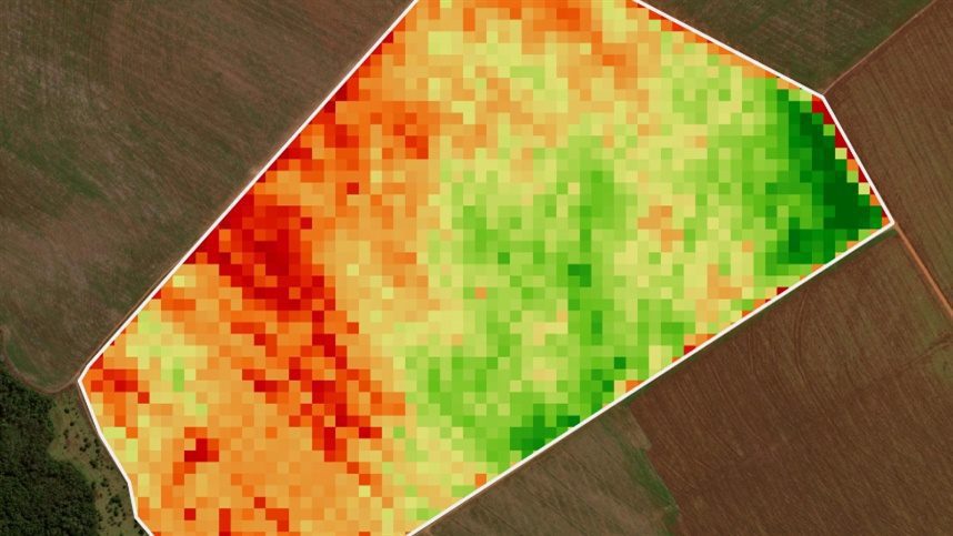 Nova tecnologia com inteligência artificial faz diagnósticos mais rápidos e precisos de nematoides na cultura da soja