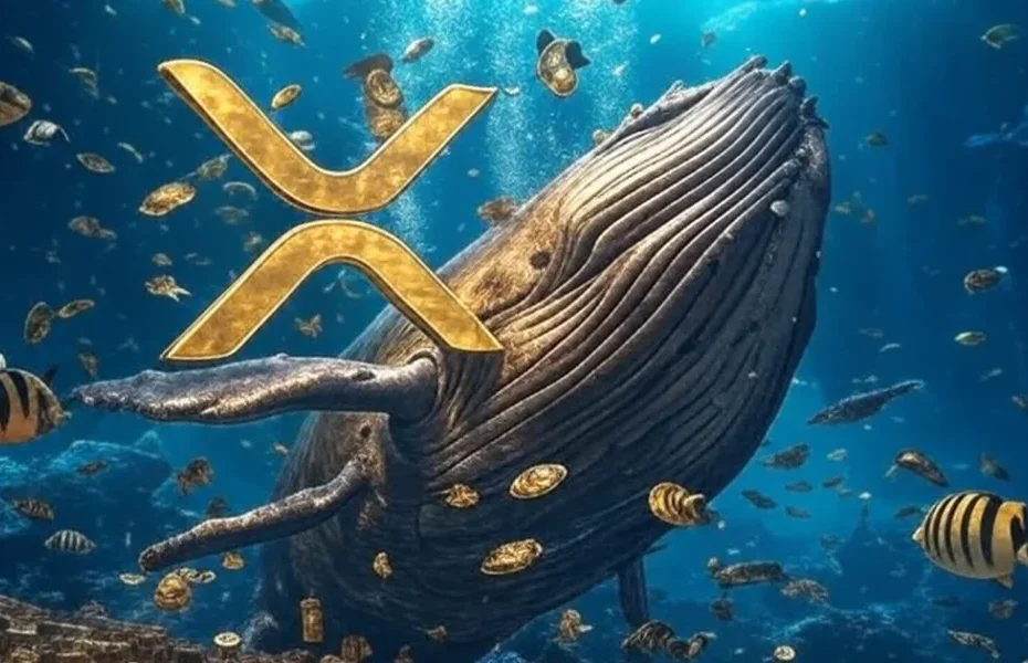 “Pump and Dump?” Cofundador do XRP é acusado de esquema milionário