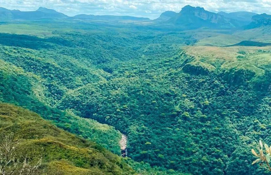 Quando a primavera chega, a trilha mais bonita do Brasil emociona por sua beleza única