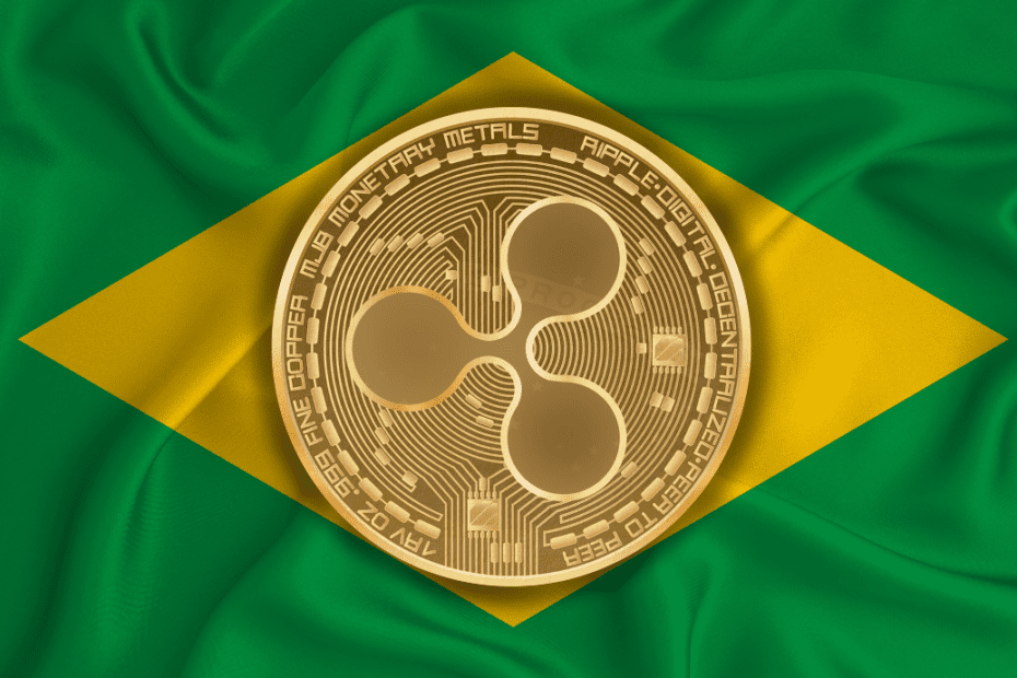 Rodrigo Tolotti avatar