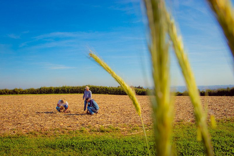 Com vagas em Guarapuava, Paraná seleciona 253 agentes para atuar na difusão de práticas sustentáveis no meio rural