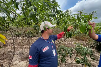 Novo PSS da Adepará oferta vagas de nível superior, médio e fundamental