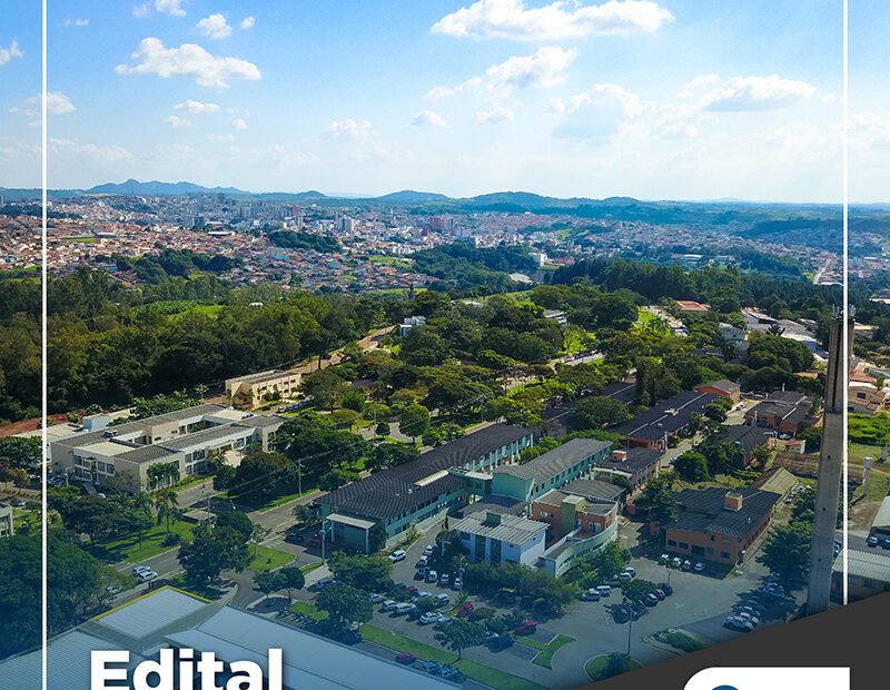 Gentileza solicitar descrição da imagem