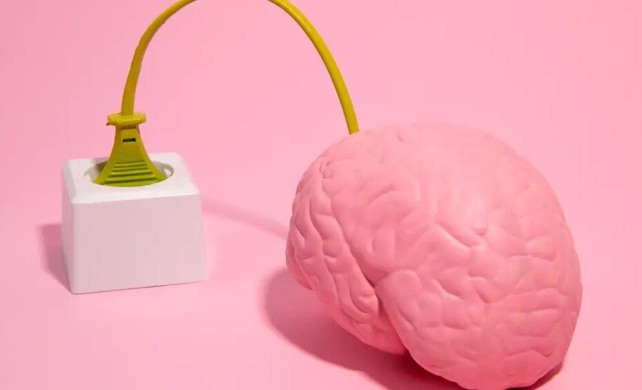 2026: o ano para cuidar da sua inteligência (humana)