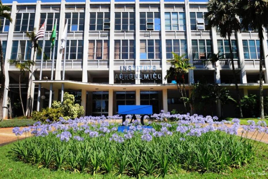 Governo de SP convoca 37 novos pesquisadores científicos para escolha de vagas