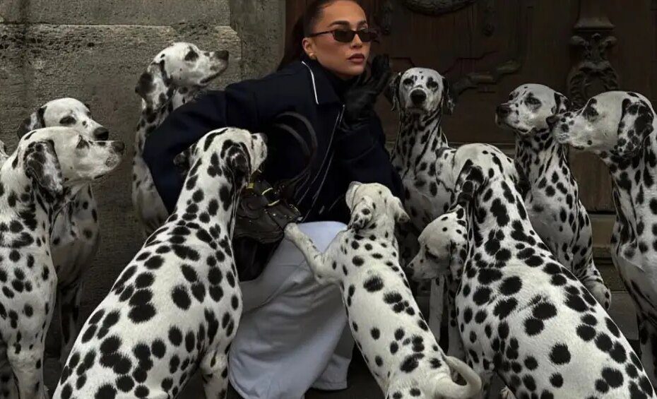 O que tem levado influenciadores a usarem pets de Inteligência Artificial