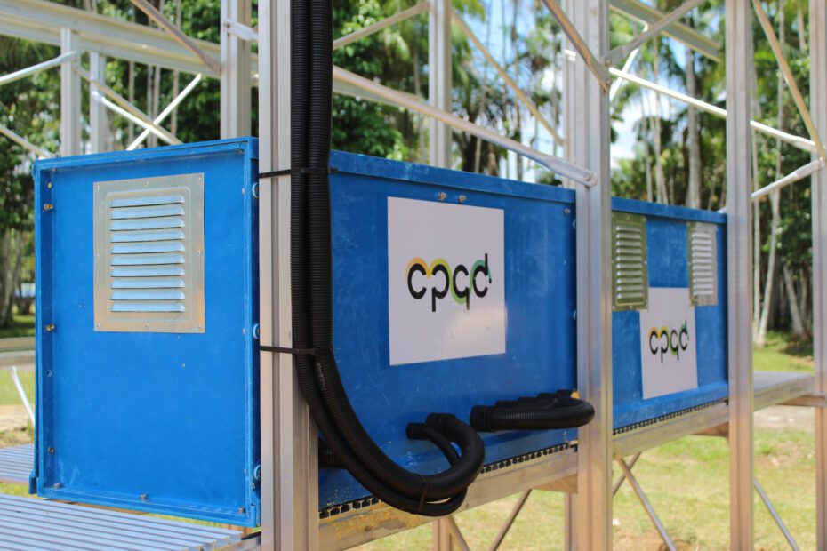 CPQD abre 70 vagas na área de tecnologia com foco em IA, Machine Learning e Cibersegurança