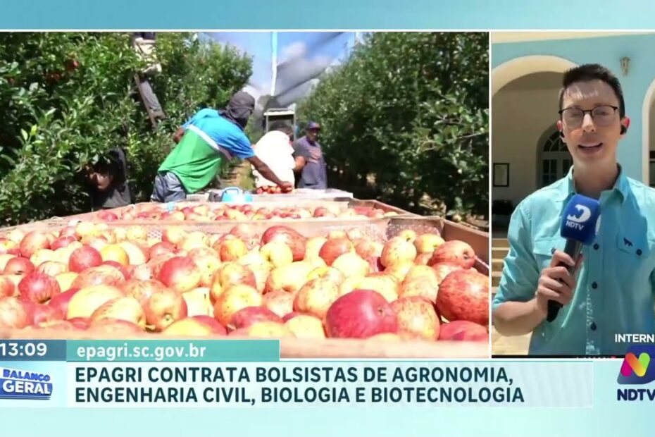 Caçador tem vagas para bolsistas da Epagri em áreas científicas