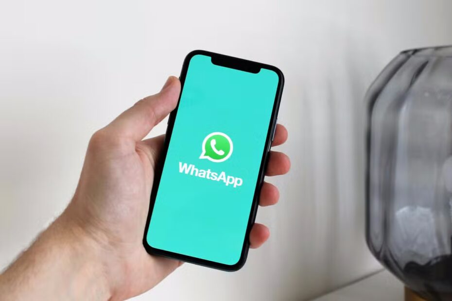 Cade aplica medida preventiva e suspende novos termos do Whatsapp sobre inteligência artificial | Empresas