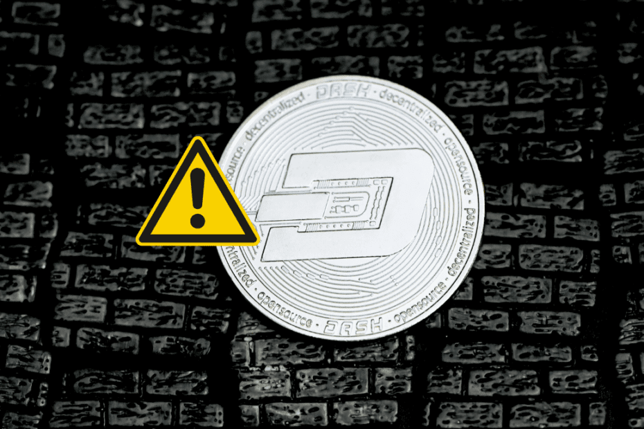 Rodrigo Tolotti avatar