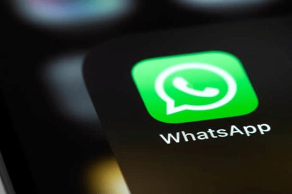 Cade vai apurar exclusividade de IA da Meta no WhatsApp