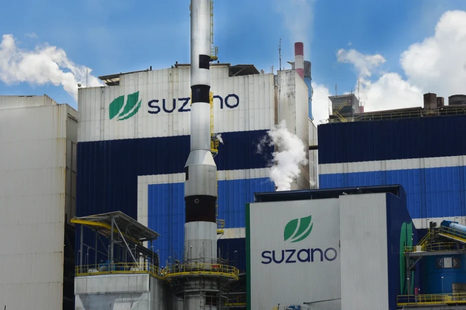 Frisa, Cacau Show e outras seis empresas abrem vagas de emprego no norte do ES