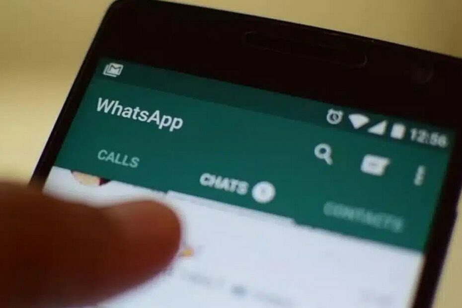 Meta toma decisão inédita sobre uso de chatbots de IA para o WhatsApp no Brasil; veja