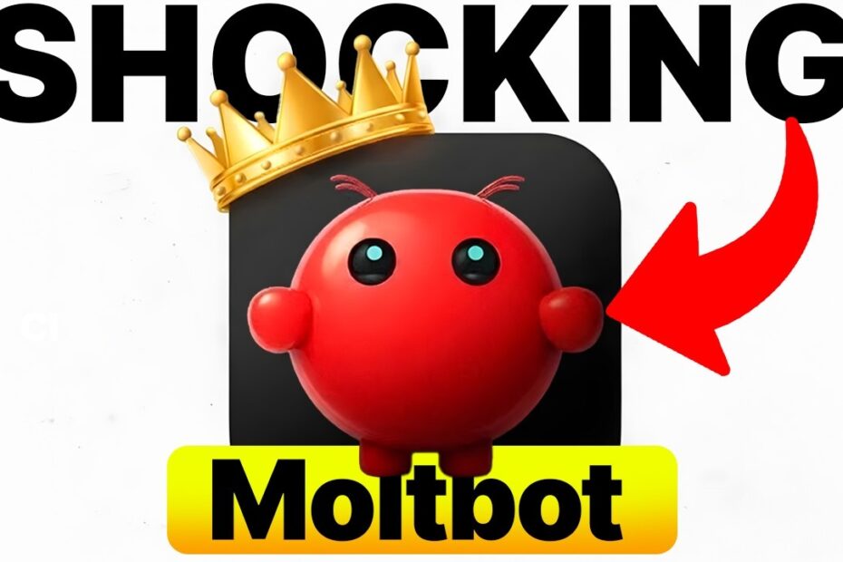 1771556426 maxresdefault