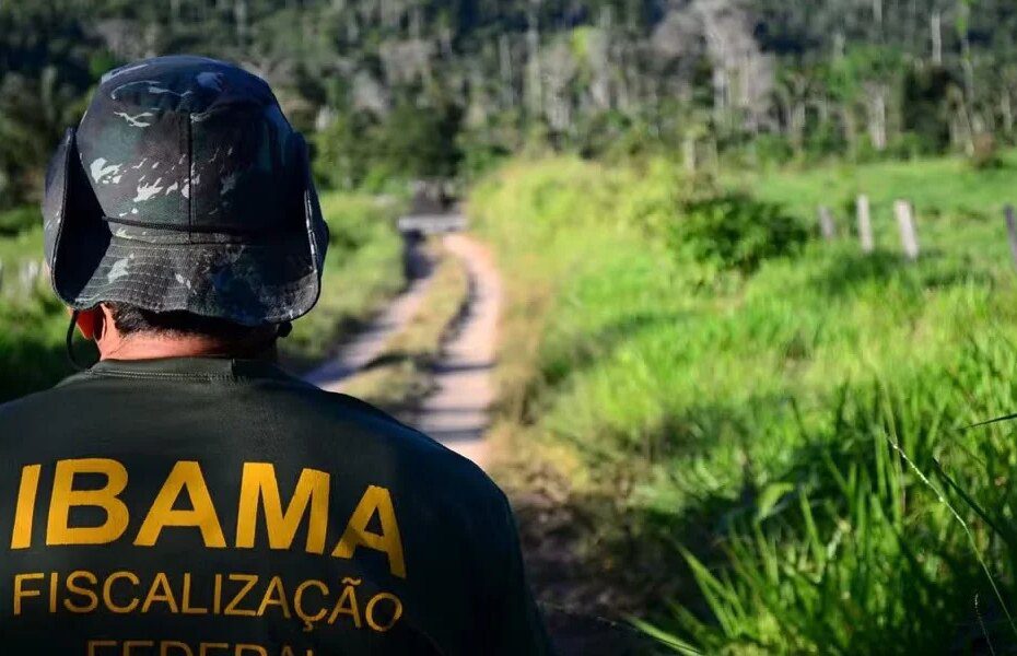 Para concorrer às vagas, é necessário ter idade mínima de 16 anos na data de início do estágio. (Foto: Divulgação)