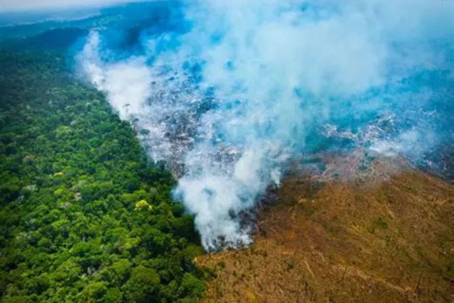 Inteligência artificial prevê 5,5 mil km² sob risco de desmatamento na Amazônia em 2026