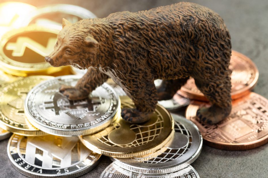 Rodrigo Tolotti avatar