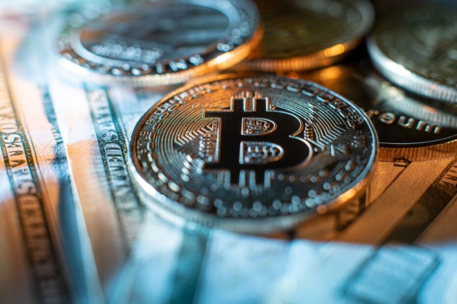 Saori Honorato avatar