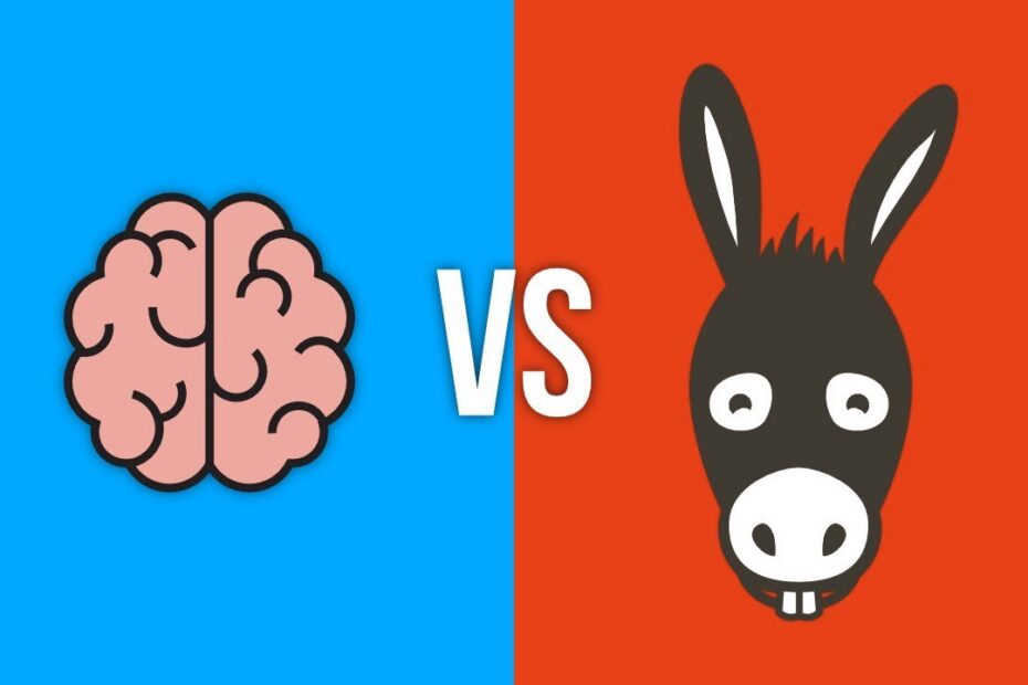 Como Evitar Erros Comuns: As 3 Chaves para Aprender a Programar com Sucesso