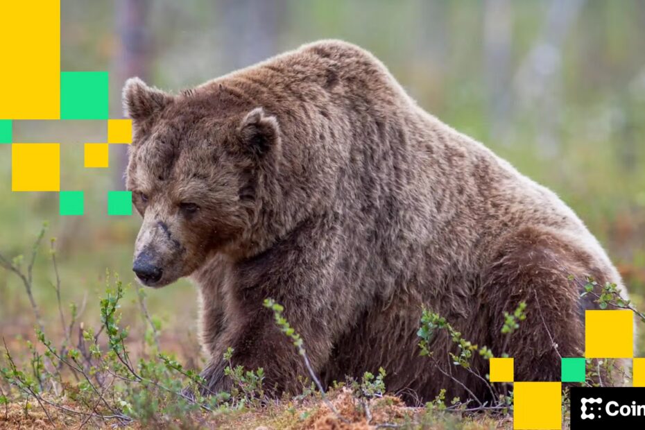 Empresas de criptomoedas estão demitindo centenas de funcionários para apostar tudo na IA