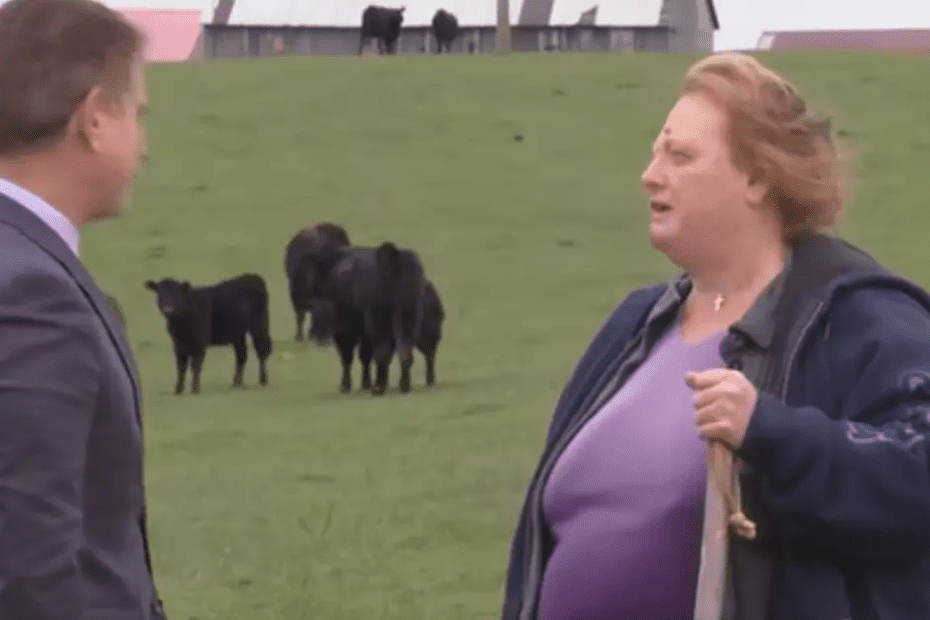 Família recusa proposta de R$ 136 milhões para vender fazenda à empresa de inteligência artificial