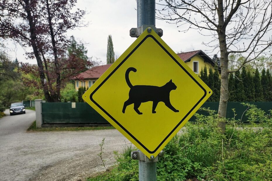 Arrancada brusca é crime?