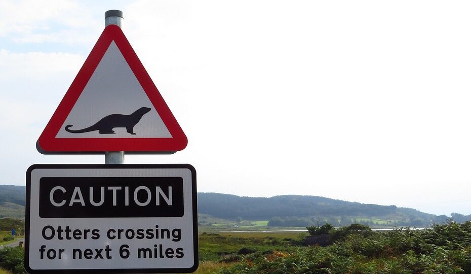 Código da infração 6050 desdobramento 3