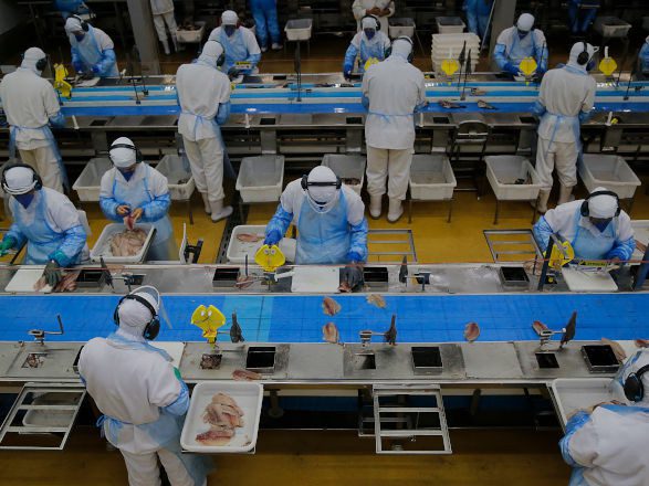 Com saldo de 21 mil postos de trabalho, Paraná fica entre os líderes em criação de empregos