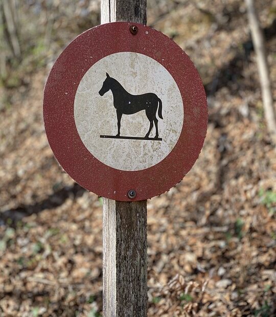 O Que Acontece Se Não Retirar Veículo Apreendido