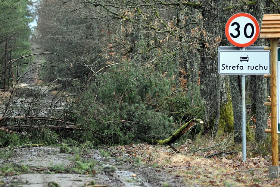 Restrição X na CNH