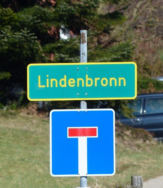 Utilizar veículo para demonstrar ou exibir manobra perigosa